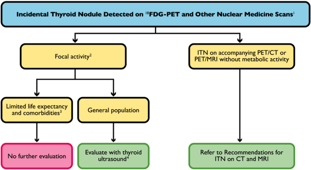 Thyroid Flow Chart